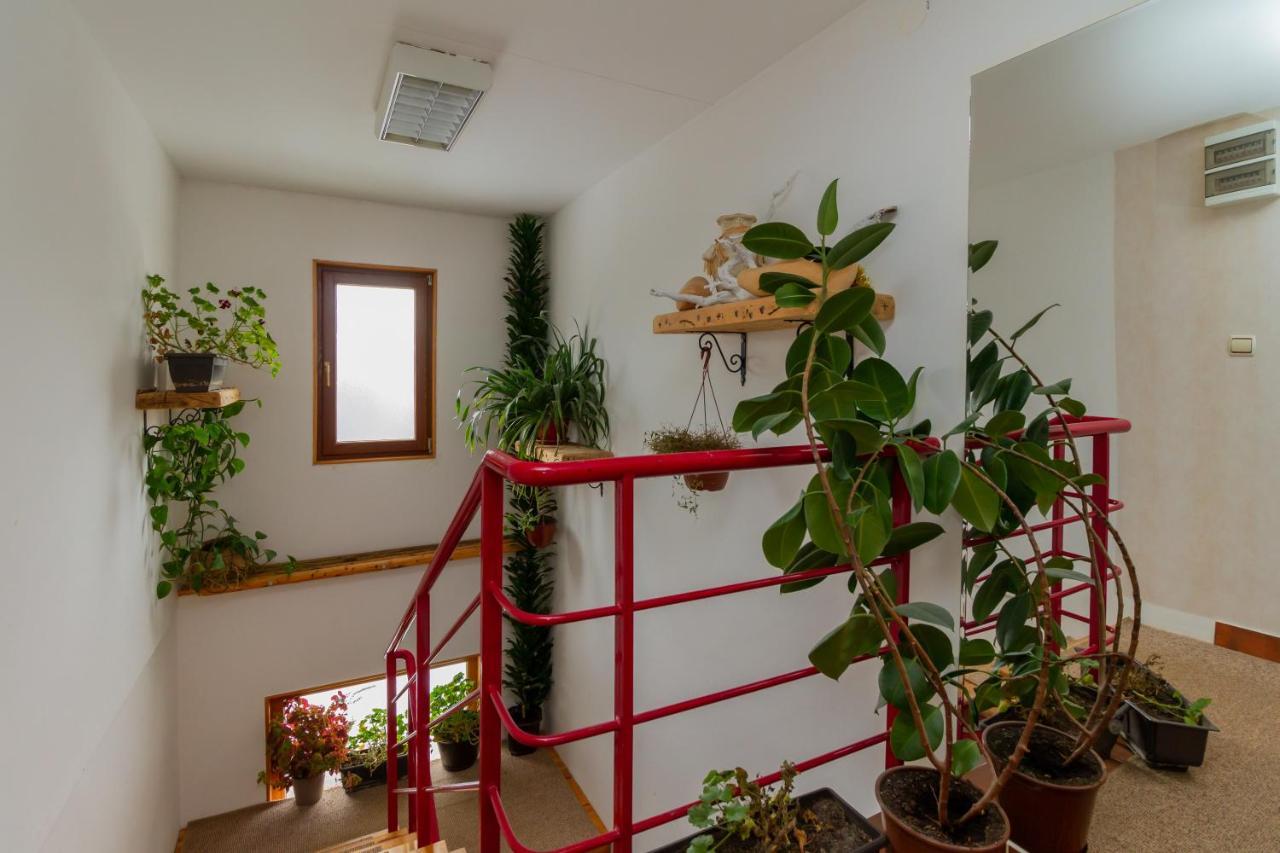 Apartmani Nika Zlatibor Eksteriør bilde