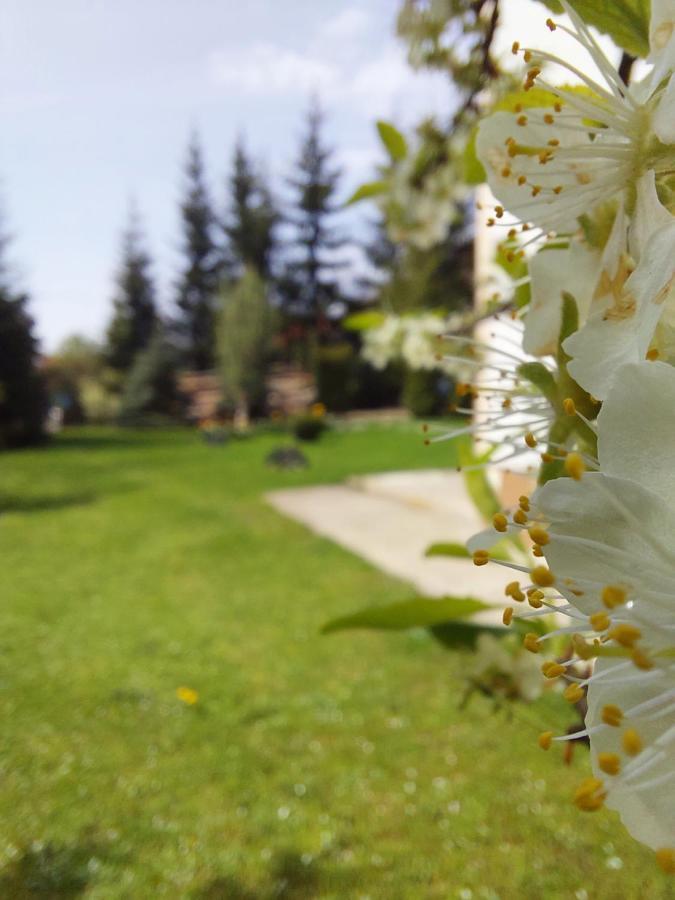 Apartmani Nika Zlatibor Eksteriør bilde